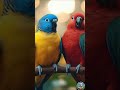 Beautiful Macaw Birds Love Scene in Nature 🌿🦜💙#shorts #nature #viralvideo #viral #nature