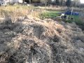Pile of hay