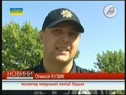 Сюжет собака 3 33