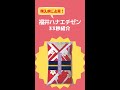 新米　福井県産ハナエチゼン33秒紹介