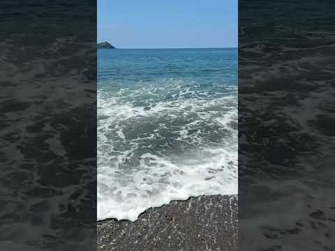 Sea