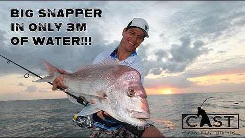 HOW TO CATCH SNAPPER IN SHALLOW WATER - Cast Magazine