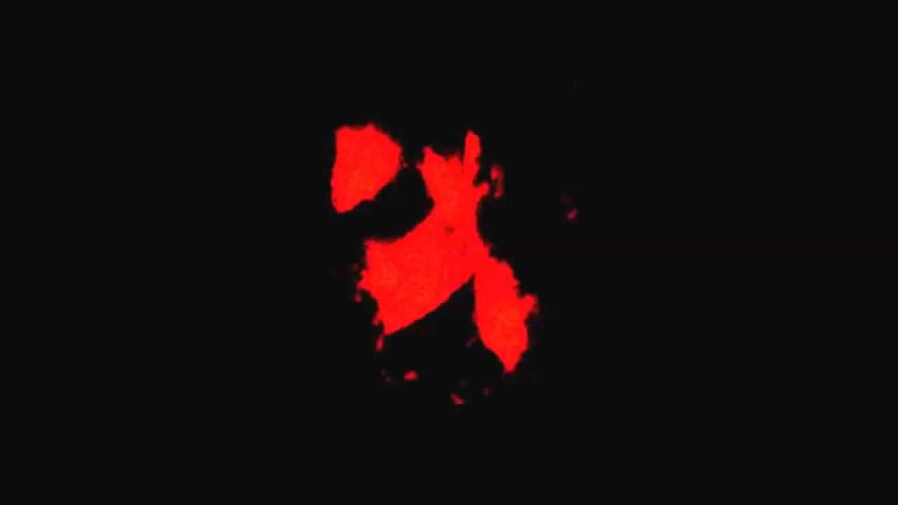 PLoS ONE : Optical Clearing in Dense Connective Tissues to Visualize Cellular Connectivity In Situ