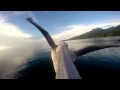 Gopro  pelican learns to fly