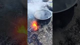 Pekmez Yapımı Şfet Ültür