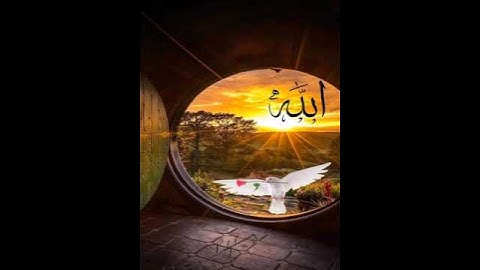 القارئ ليث تلاوة مؤثرة من سورة الإسراء