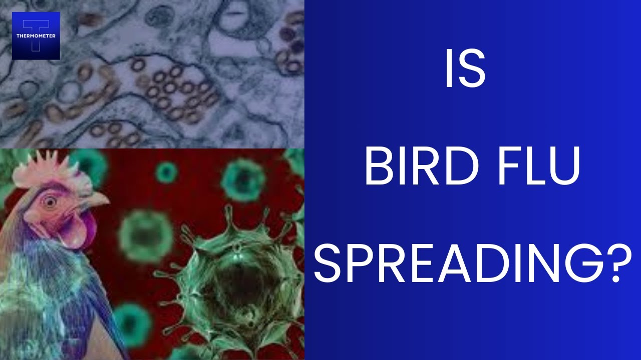 Inside Bird Flu: Did a Kid with Bird Flu Infect their Family?