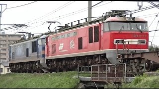 EF510-508+EF510-16（無動力回送）　高速貨物3097ﾚ