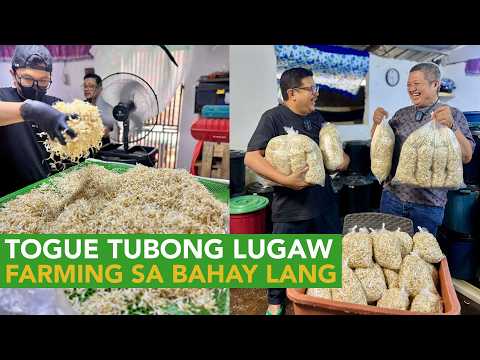 Togue Tubong Lugaw - 5X ang Kita, 3 Days lang sa Loob lang ng Bahay!