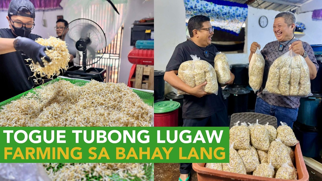 Togue Tubong Lugaw - 5X ang Kita, 3 Days lang sa Loob lang ng Bahay!