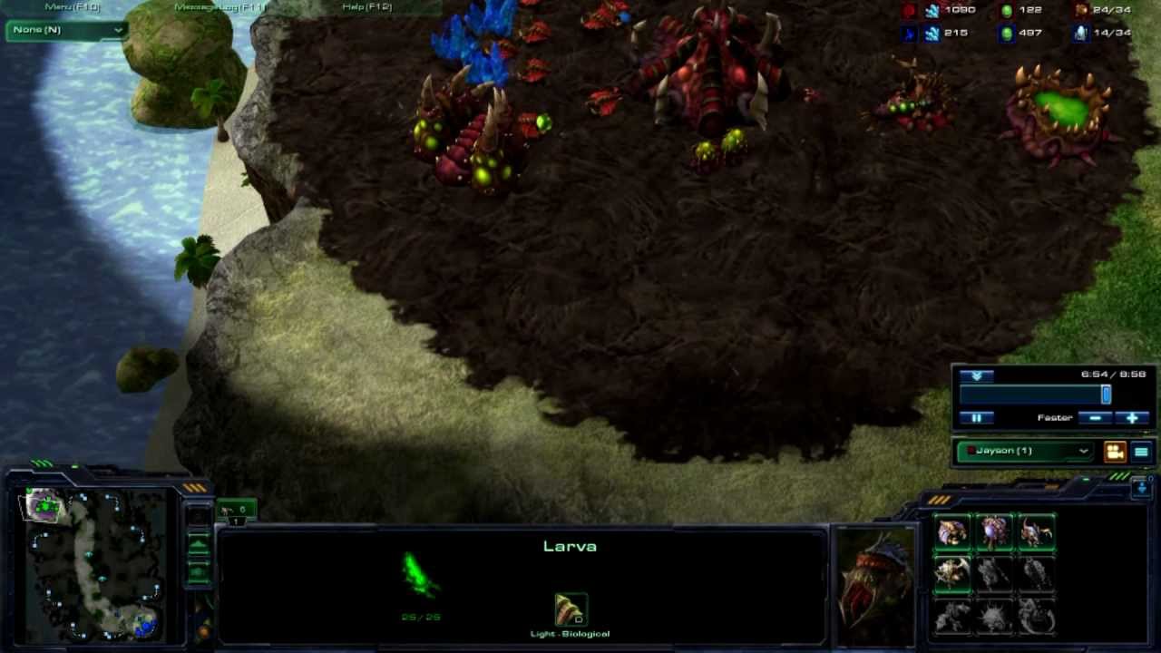 Ultimate Zerg Strategy YouTube