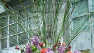 Sports Performance Lotus Flowers NYC -Show Boat Dinner at Remi Restaurant Decor