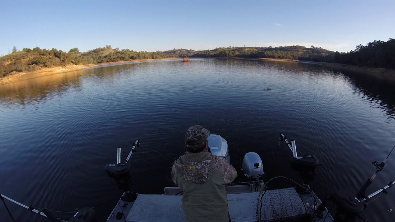 Lake Camanche Trout 12/28/2019 YouTube