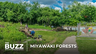 The Buzz with City Manager Batista | Miyawaki Forests