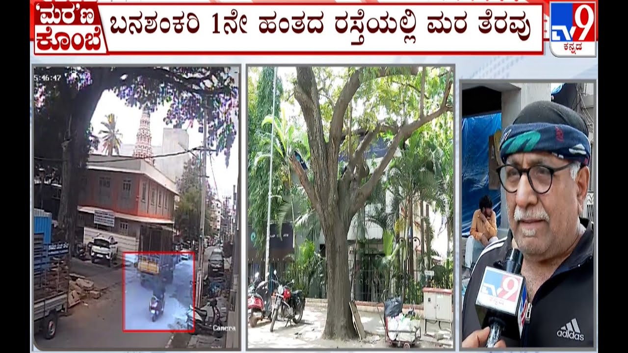 29-year-old Man Dies After Tree Branch Falls On Him: TV9 Reality Check ...