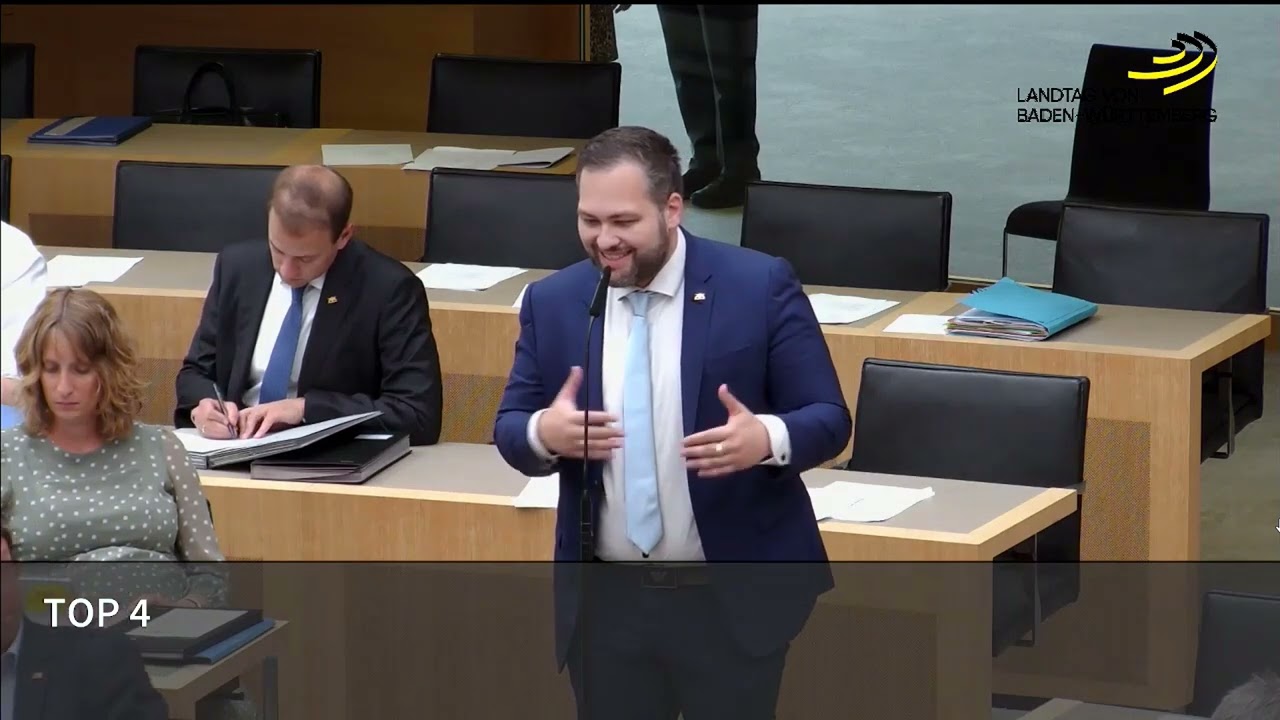 EXPERTEN stimmen AFD ZU!