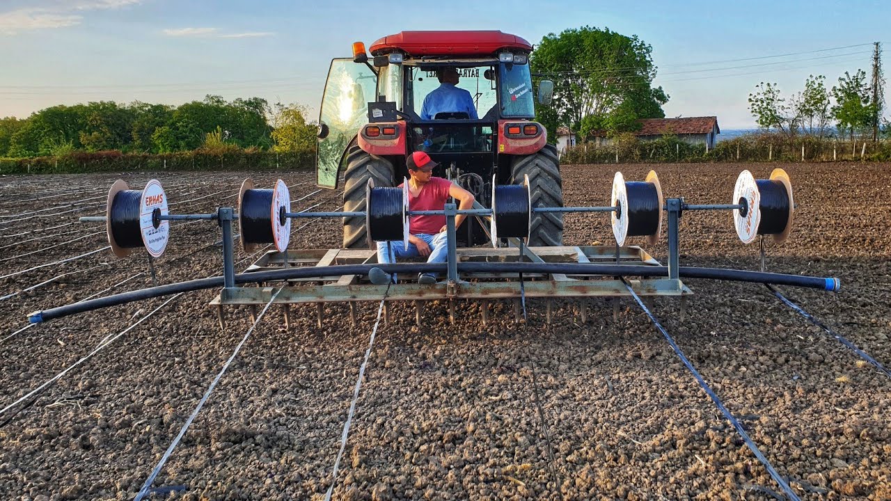 DAMLAMA SULAMA SİSTEMİ İLE ÇELTİK EKİMİ !!!