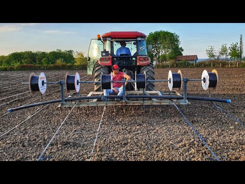 DAMLAMA SULAMA SİSTEMİ İLE ÇELTİK EKİMİ !!!