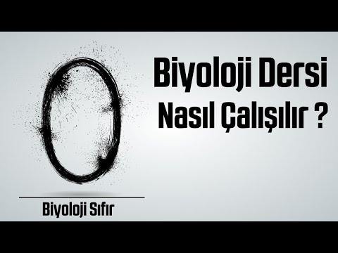 Video: Üniversitede biyoloji dersi için nasıl çalışırsın?