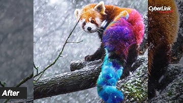 PhotoDirector Mobile App | How to Create Double Exposure Images