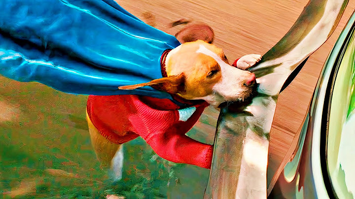 Este SUPER PERRO ganó PODERES de SUPERFUERZA y ahora puede MASTICAR incluso ACERO
