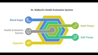 Understanding Dr Wallach's Health Evaluation System