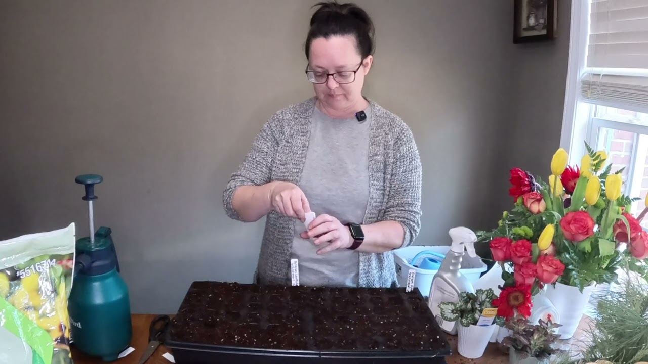 Starting Snapdragons & Campanula from Seed | Cool-Season Cut Flowers for an Early Bloom