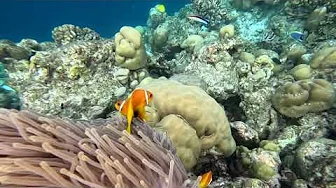 Snorkeling 09.10.24