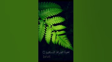 سورة الفاتحة بصوت رعد الكردي