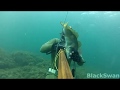 Подводная охота в Черном море
