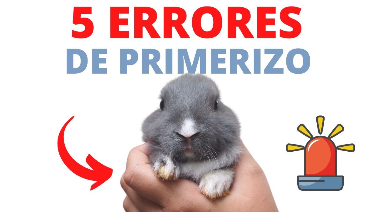 5 Errores De Primerizo Al Tener un CONEJO, Mucho Cuidado!