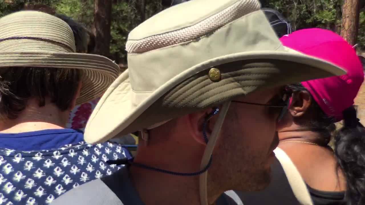 Yosemite Valley Tour