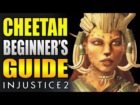 cheetah guides