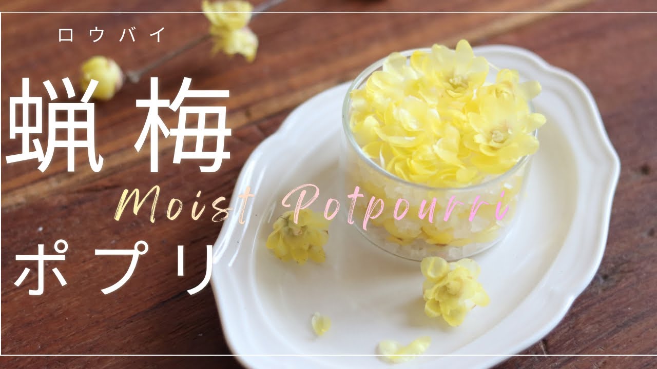 【塩で作る】蝋梅のモイストポプリの作り方
