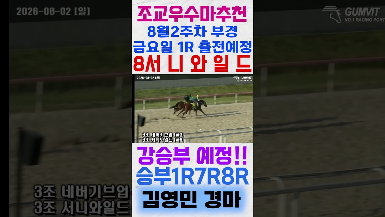 8월2주차 부경 금요일 1경주 출전예정 8서니와일드 주목해보세요! #shorts #김영민경마 #경마