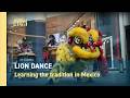 Learning the Lion Dance tradition in Mexico City