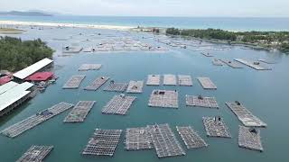 SMART MERD SYSTEMS AS: Pioneering the Future of Sustainable Maritime Operations