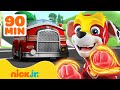 PAW Patrol Marshall