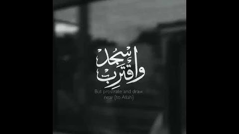 حالات واتس اب دينيه قرآن الكريم/ستوريات انستغرام قرآن/ارح قلبك/تلاوه عطره