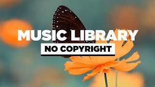 Rusez1 - In Love  (Vlog No Copyright Music)