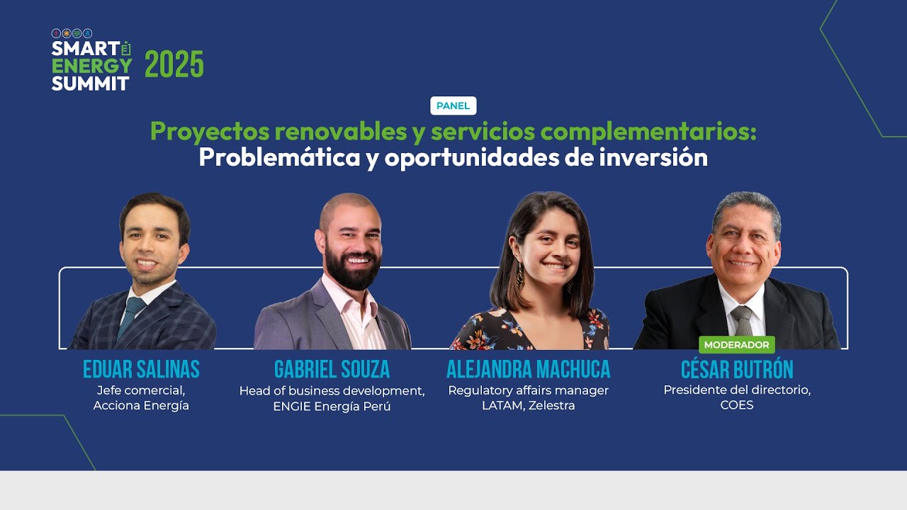 Panel: Proyectos renovables y servicios complementarios: Problemática y oportunidades de inversión