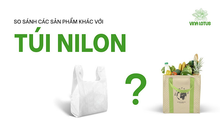 So sánh giữa túi nilon và túi giấy năm 2024