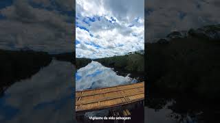 Rio Von Den Steinen - Mato Grosso - Brasil  #selvagens #nature #wildlife