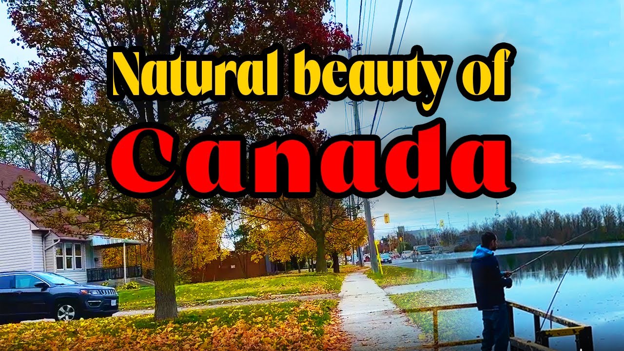 Natural Beauty of Canada,Ontario | Peaceful day in London Pond Mills | Fall season in Canada कुदरत