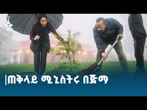 የጠቅላይ ሚኒስትር ዐቢይ አሕመድ ዶ ር የጅማ ቆይታ ETV EBC EBCDOTSTREAM