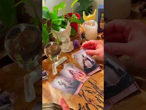 فال تاروت مرلین همین امروز حسش بهت چیه 