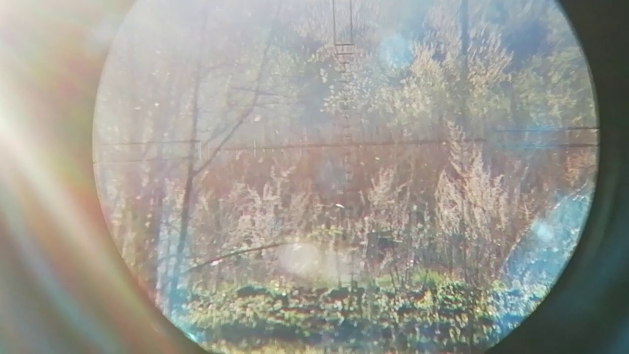 Стрельба на 150шагов, через камерохолдер, крюгер снайпер 2. . 025