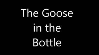 Alan Watts - The Goose in the Bottle