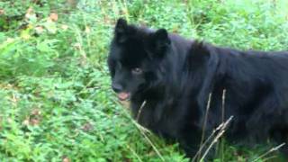 Download Lagu Winnie 2005 MP3