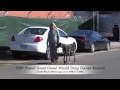 Check out this huge Great Dane Heeling Perfectly in One Session! Check out this huge Great Dane Heeling Perfectly in One Session!